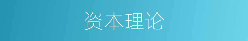 资本理论的同义词