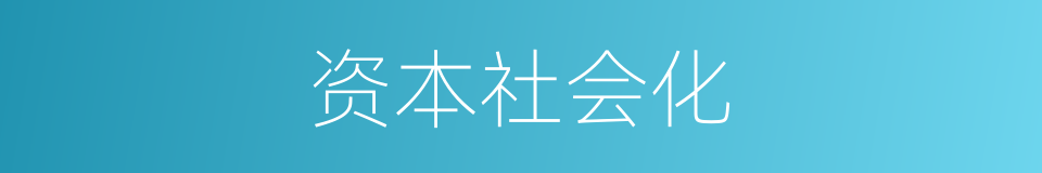 资本社会化的同义词