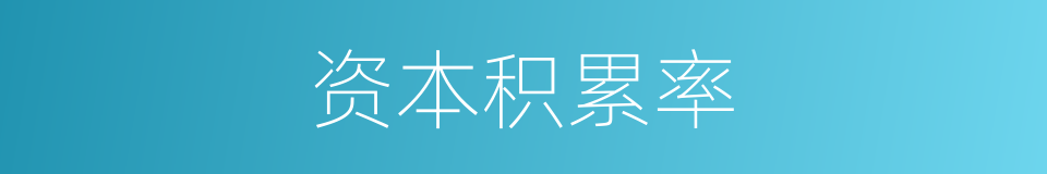 资本积累率的同义词