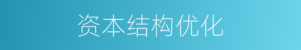 资本结构优化的同义词