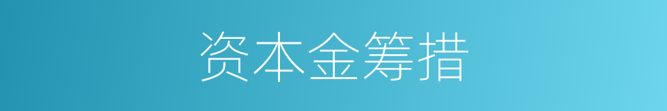 资本金筹措的同义词