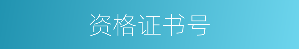 资格证书号的同义词