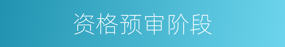 资格预审阶段的同义词