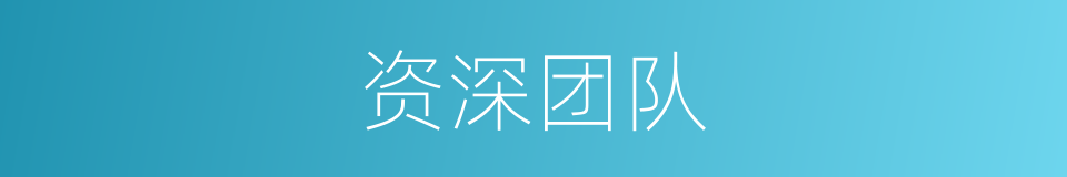 资深团队的同义词