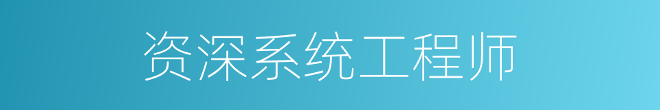 资深系统工程师的同义词