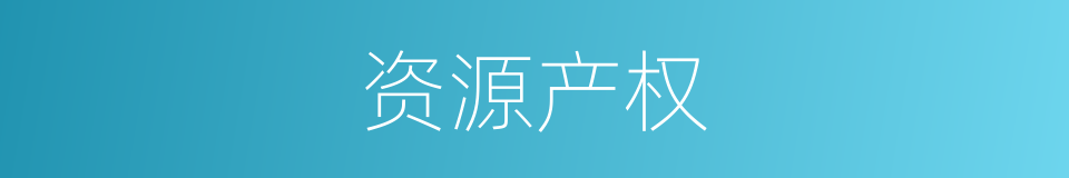 资源产权的同义词