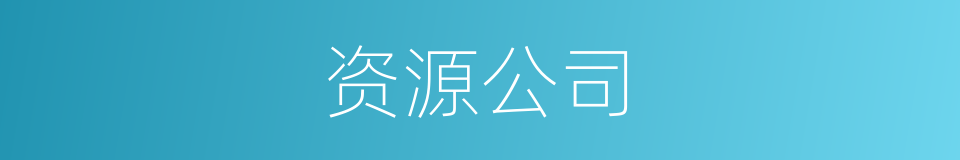 资源公司的同义词