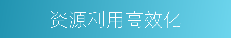 资源利用高效化的同义词