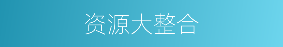 资源大整合的同义词
