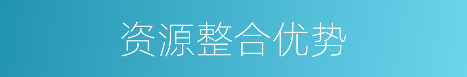 资源整合优势的同义词