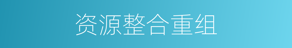 资源整合重组的同义词