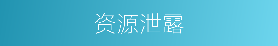 资源泄露的同义词