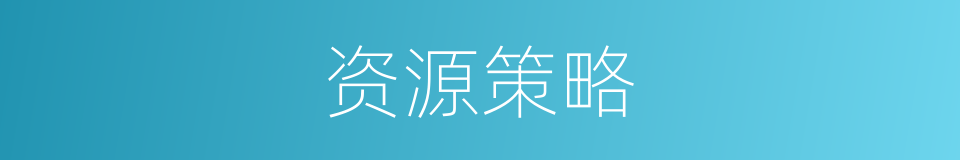 资源策略的同义词