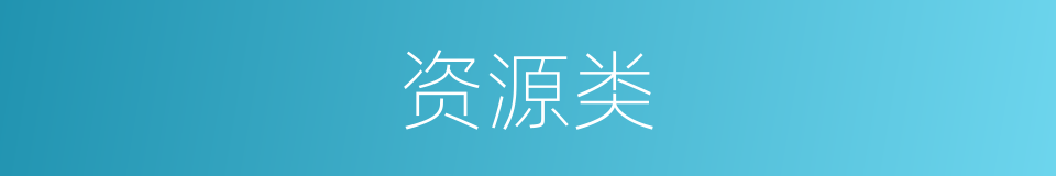 资源类的同义词