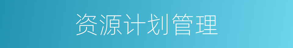 资源计划管理的同义词