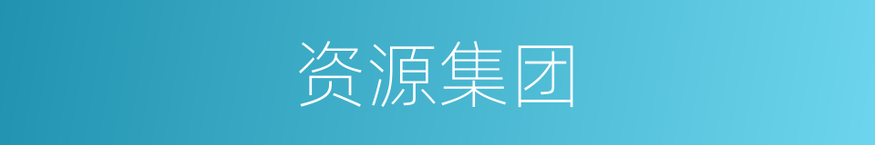 资源集团的同义词