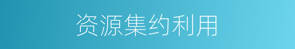 资源集约利用的同义词