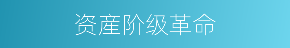 资産阶级革命的同义词
