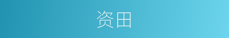 资田的同义词
