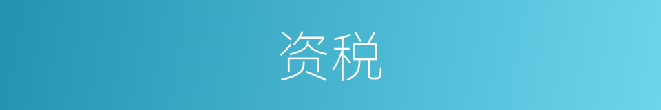 资税的意思