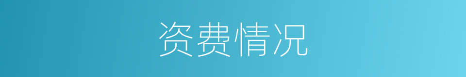 资费情况的同义词