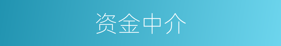 资金中介的同义词