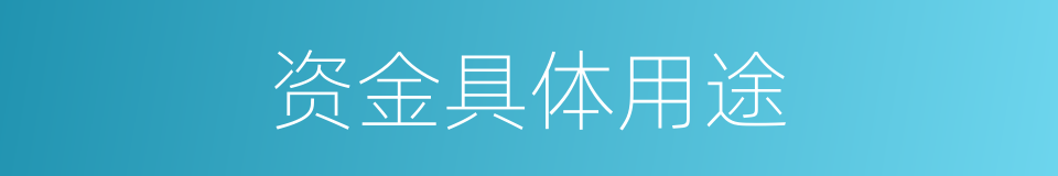 资金具体用途的同义词