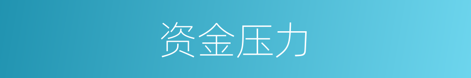 资金压力的同义词