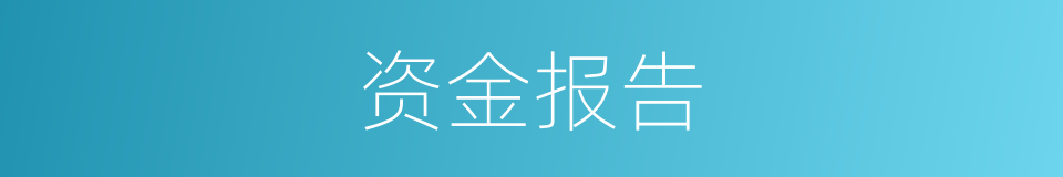 资金报告的同义词