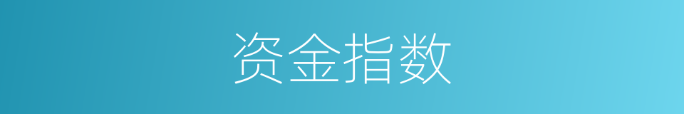 资金指数的同义词