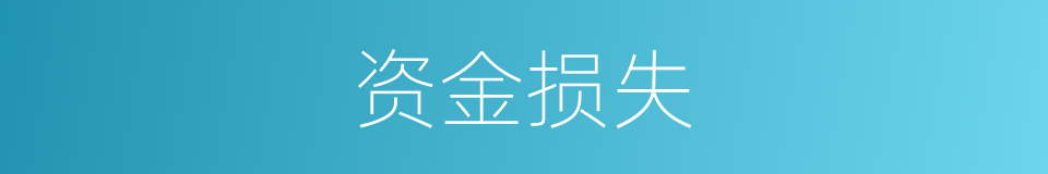 资金损失的同义词