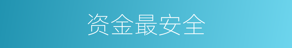 资金最安全的同义词