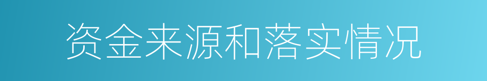 资金来源和落实情况的同义词