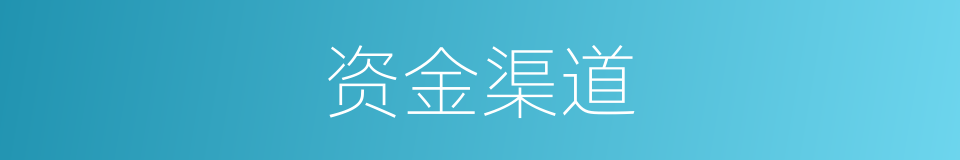 资金渠道的同义词