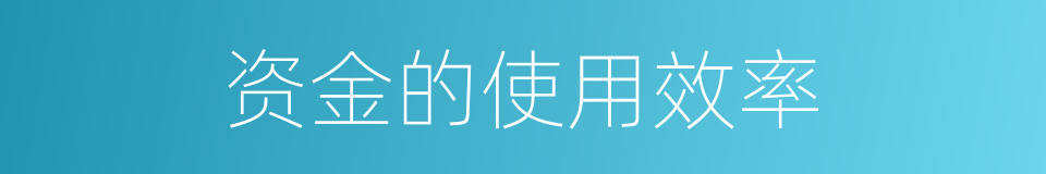 资金的使用效率的同义词