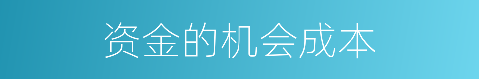 资金的机会成本的同义词