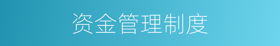 资金管理制度的同义词