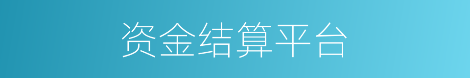 资金结算平台的同义词