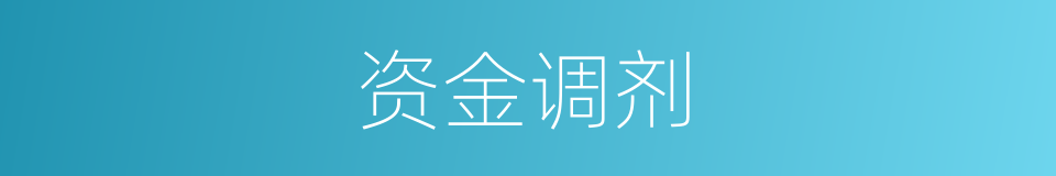 资金调剂的同义词
