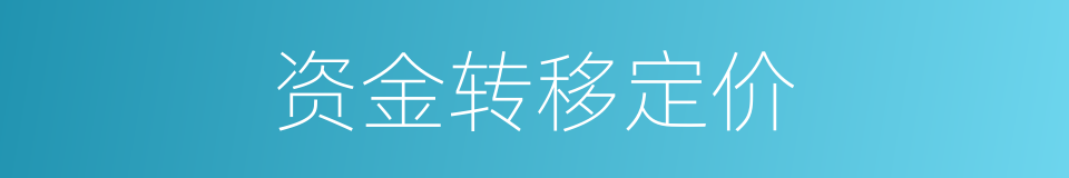资金转移定价的同义词