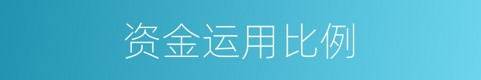 资金运用比例的同义词