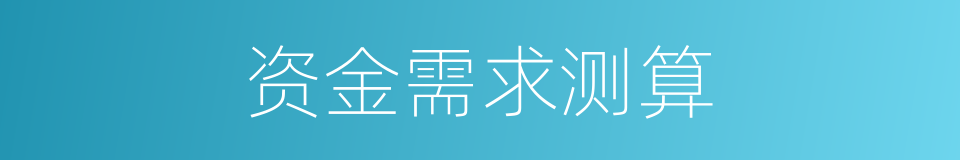 资金需求测算的同义词