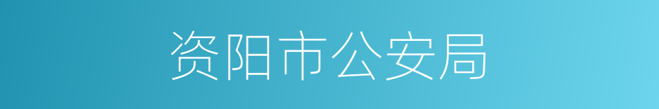 资阳市公安局的同义词