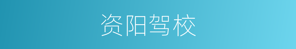 资阳驾校的同义词