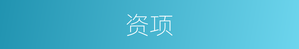 资项的同义词