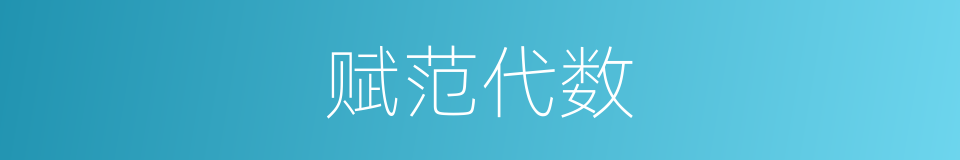 赋范代数的同义词