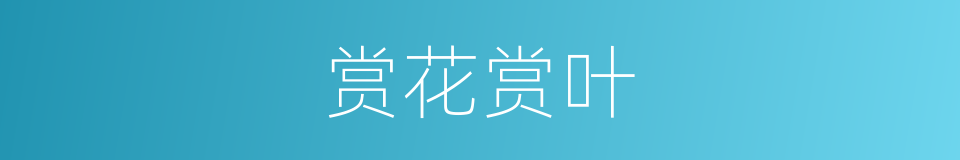 赏花赏叶的同义词