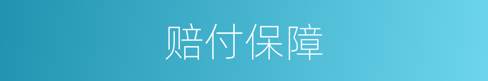 赔付保障的同义词