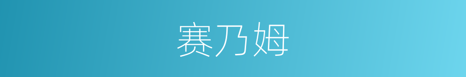 赛乃姆的同义词