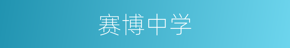 赛博中学的同义词